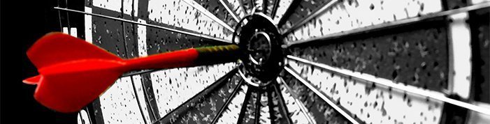 bullseye-online-surveys