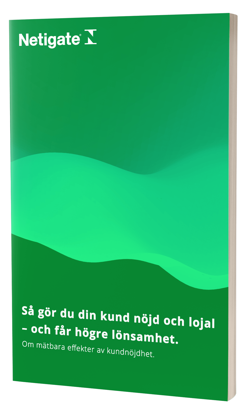 Så gör du din kund nöjd och lojal
