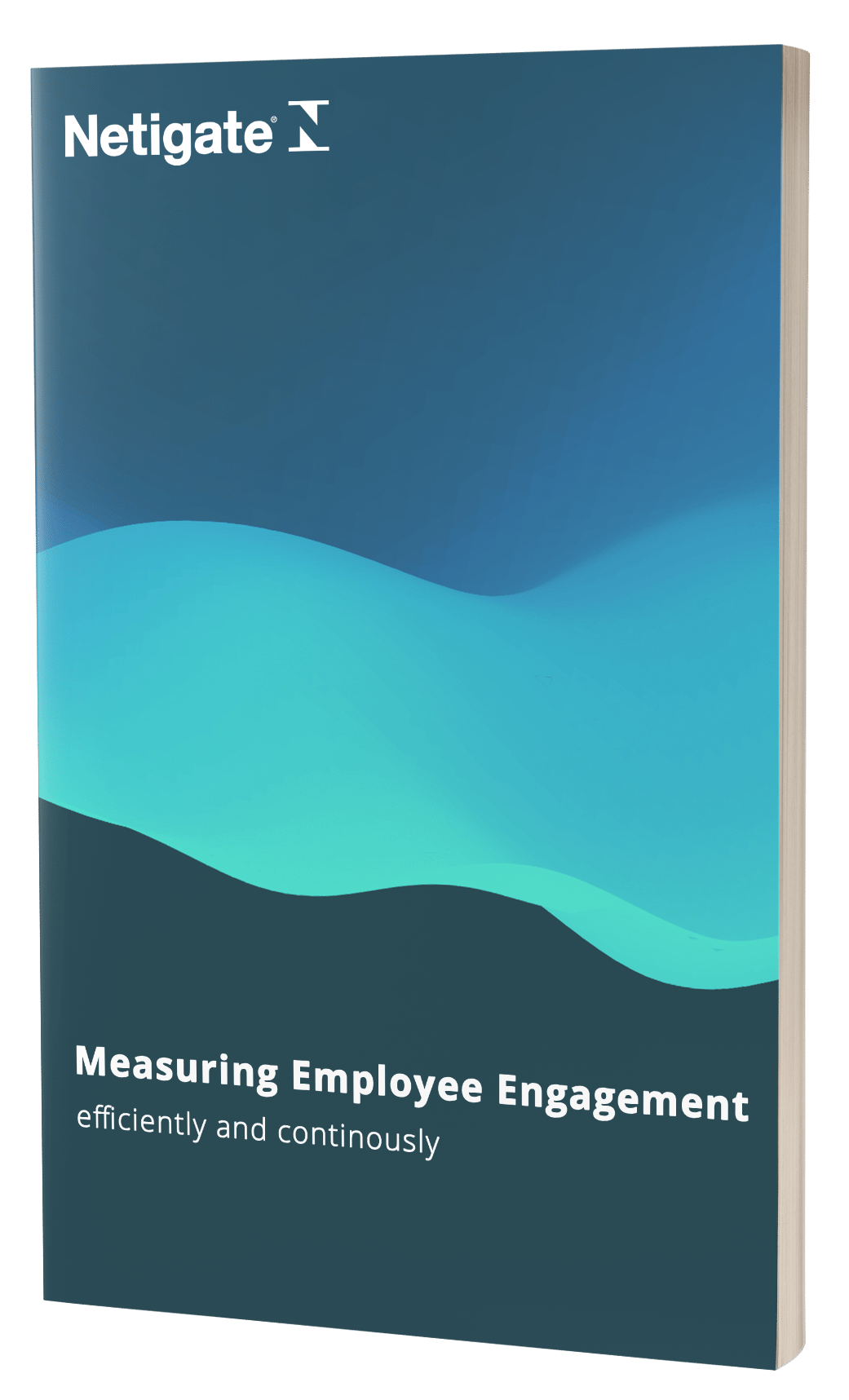 Measuring Employee Engagement