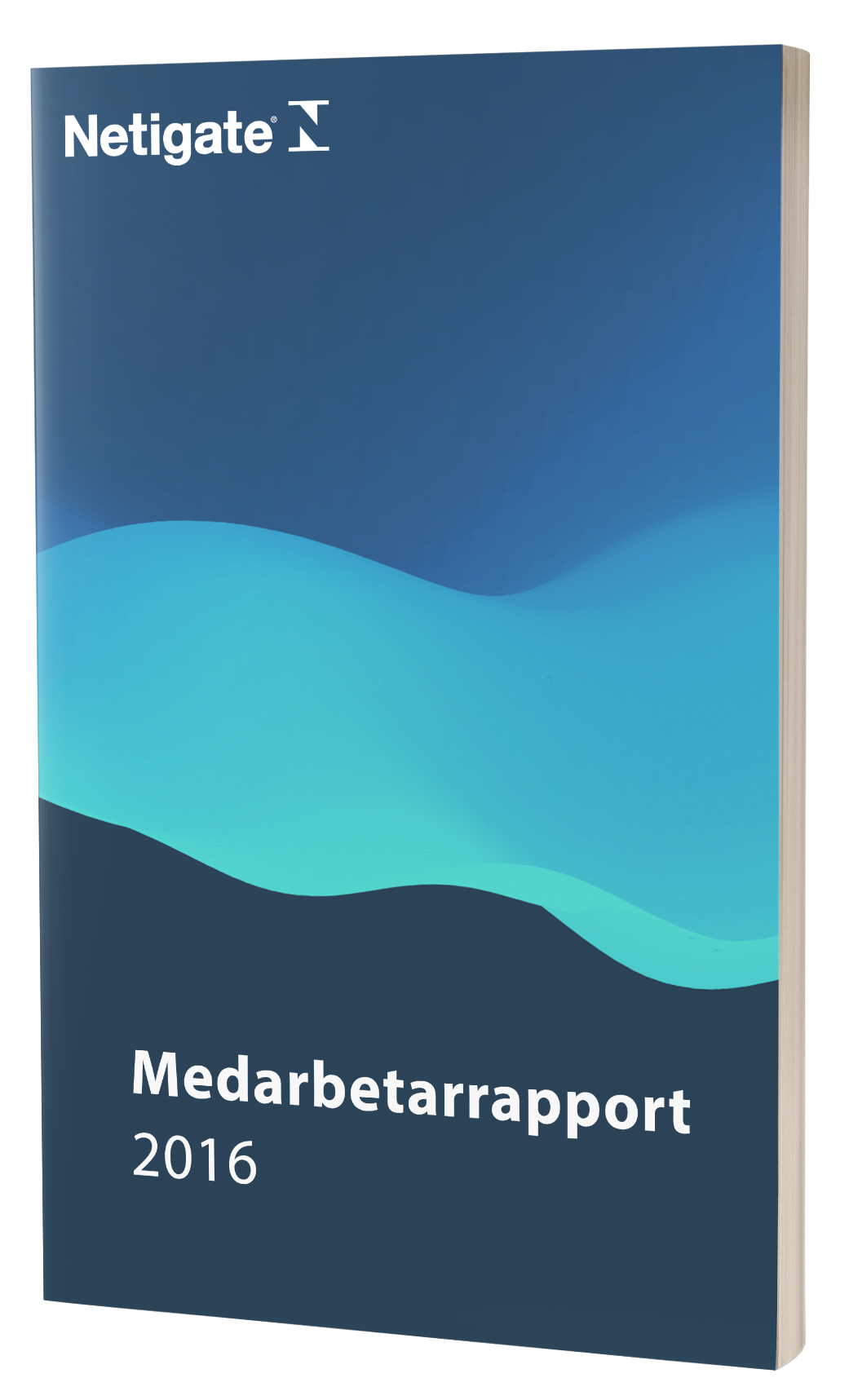 Medarbetarrapport-2016
