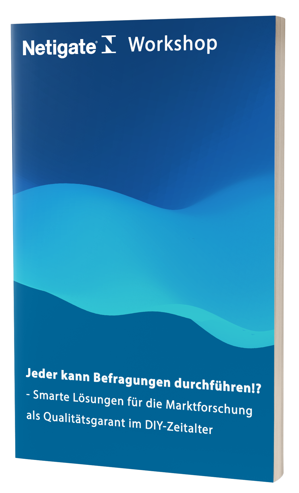 Netigate Workshop: Jeder kann Befragungen durchführen!?