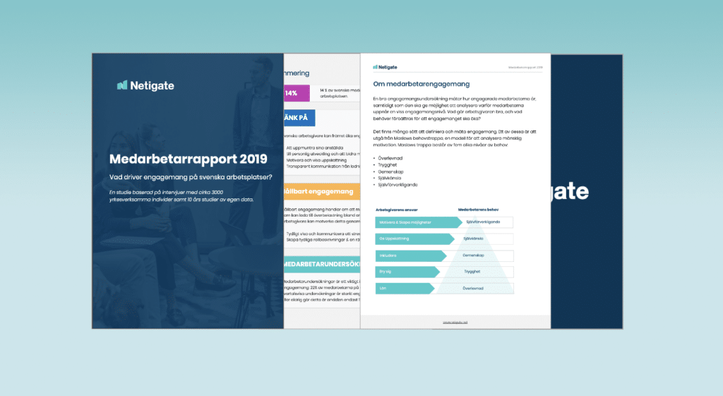 Medarbetarrapport 2019