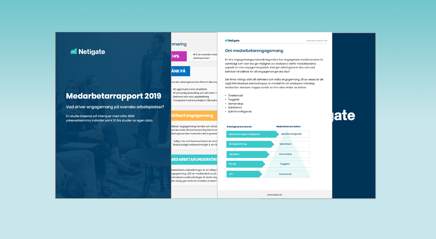 Medarbetarrapport 2019