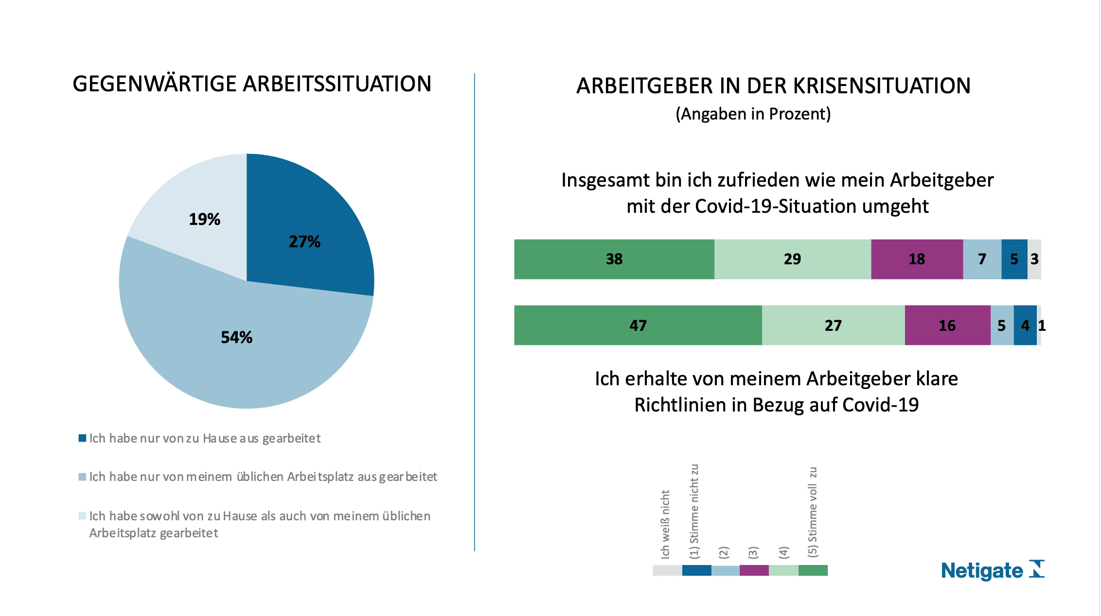 Survey Covid-19-Pandemie