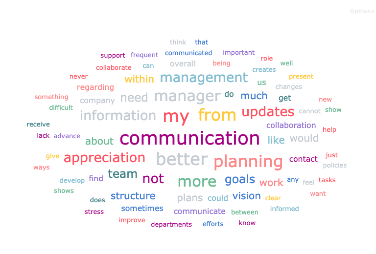 Netigate_Reporting_Word cloud