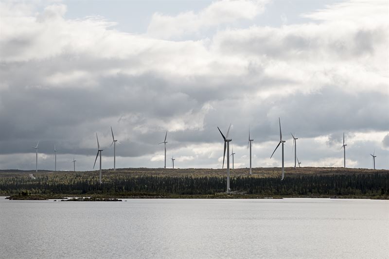 Skellefteå Kraft