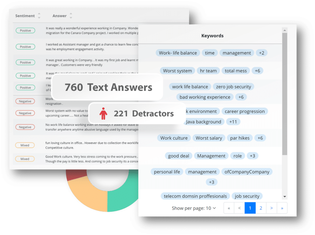 Text Analysis_VoE software