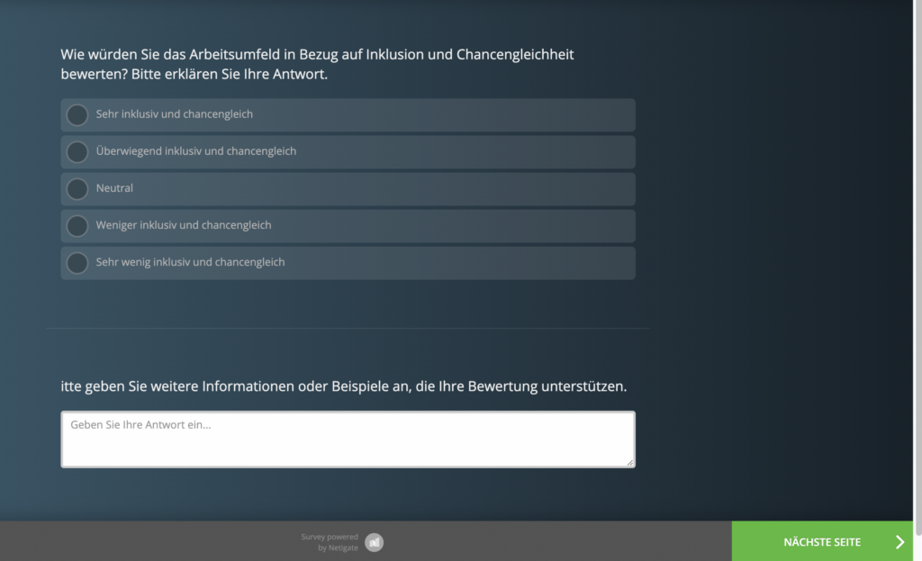 Screenshot Diversity Befragung