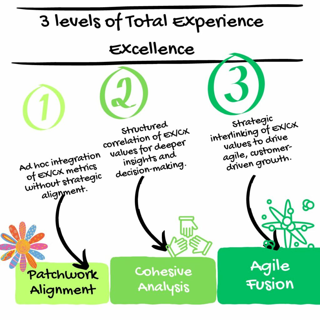 Levels of Total Experience Excellence - from patchwork alignment to cohesive analysis and agile fusion. 